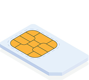 Physical SIM card 